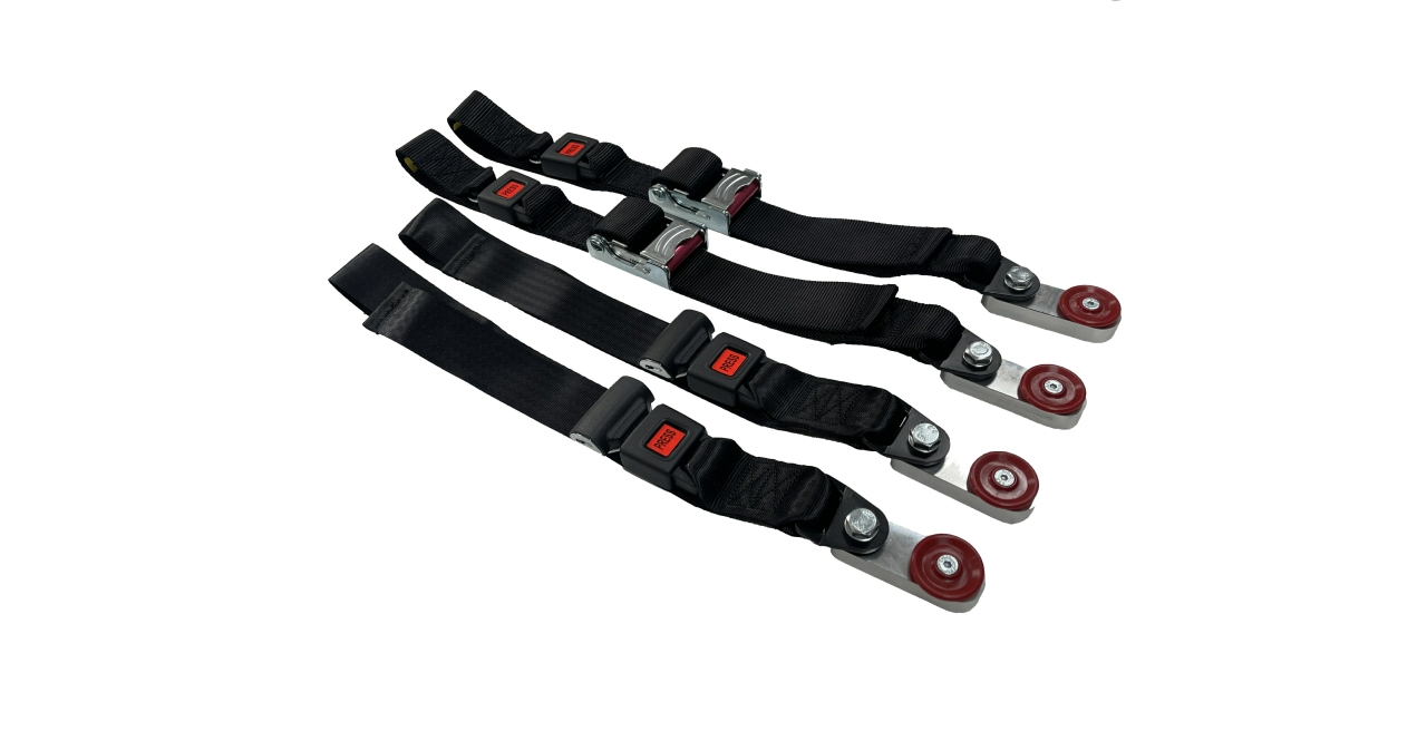 GL Jones Playgrounds - 4 Point Restraints